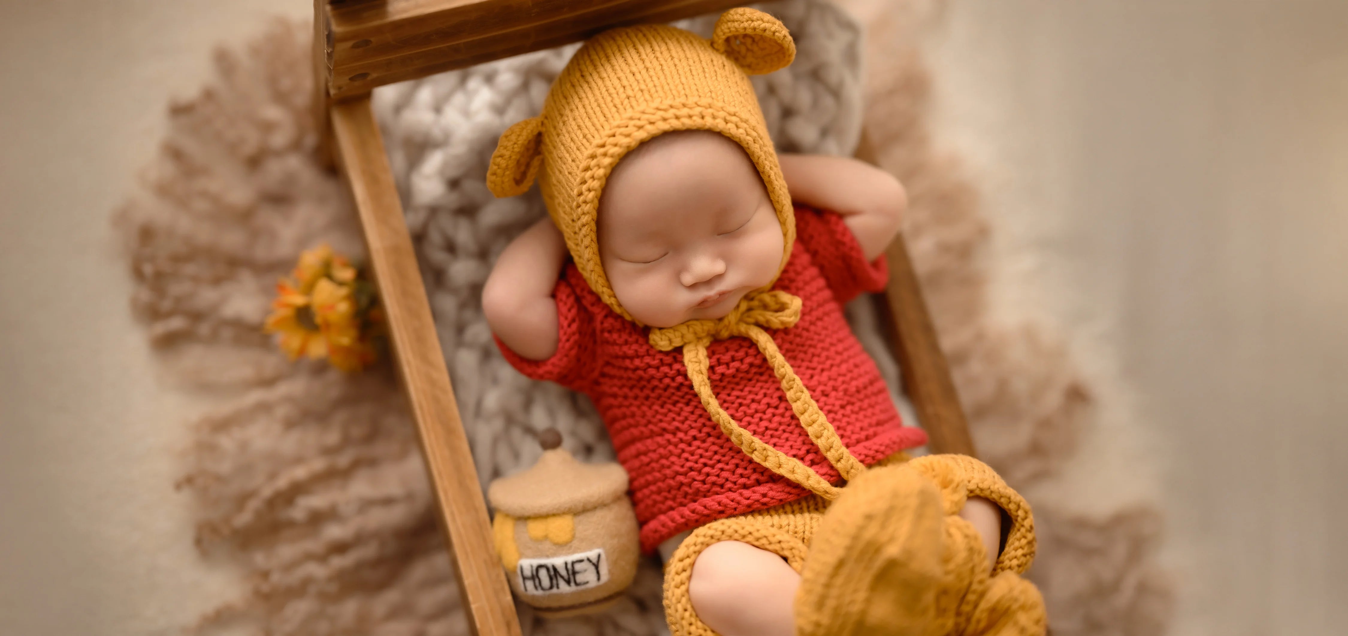 Newborn baby in a yellow bear hat and red outfit with a honey pot on a wooden ladder.