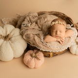 Teddy Fabric Pumpkins Set – Soft Decorative Fall & Newborn Photo Props