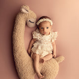 Sheep Pillow and Whale Pillow — Newborn Posing Toys for Photography and Decor