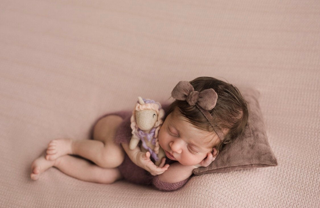 Newborn Photography Felt Toy, Felted Animals Photo Props, Felt Stuffed Teddy Bear Newborn Photo Props, Felt Bunny Newborn photography props