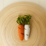 Newborn Felted Carrot Toy,Newborn Felted Props,Newborn Photography Props,Newborn Carrots Props,Newborn Felt Photo Props,Newborn Easter Props