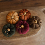 Newborn Velvet Pumpkins Toys, Newborn Pumpkin Decor, Newborn Photography Props Set, Newborn Photo Props, Velvet Pumpkins Fall Decor Autumn