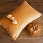Newborn Velvet Pumpkin Set,Newborn Posing Pillow Prop,Newborn Pumpkin Decor,Newborn Photography Props Set,Velvet Pumpkin Fall Decor Autumn