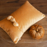Newborn Velvet Pumpkin Set,Newborn Posing Pillow Prop,Newborn Pumpkin Decor,Newborn Photography Props Set,Velvet Pumpkin Fall Decor Autumn