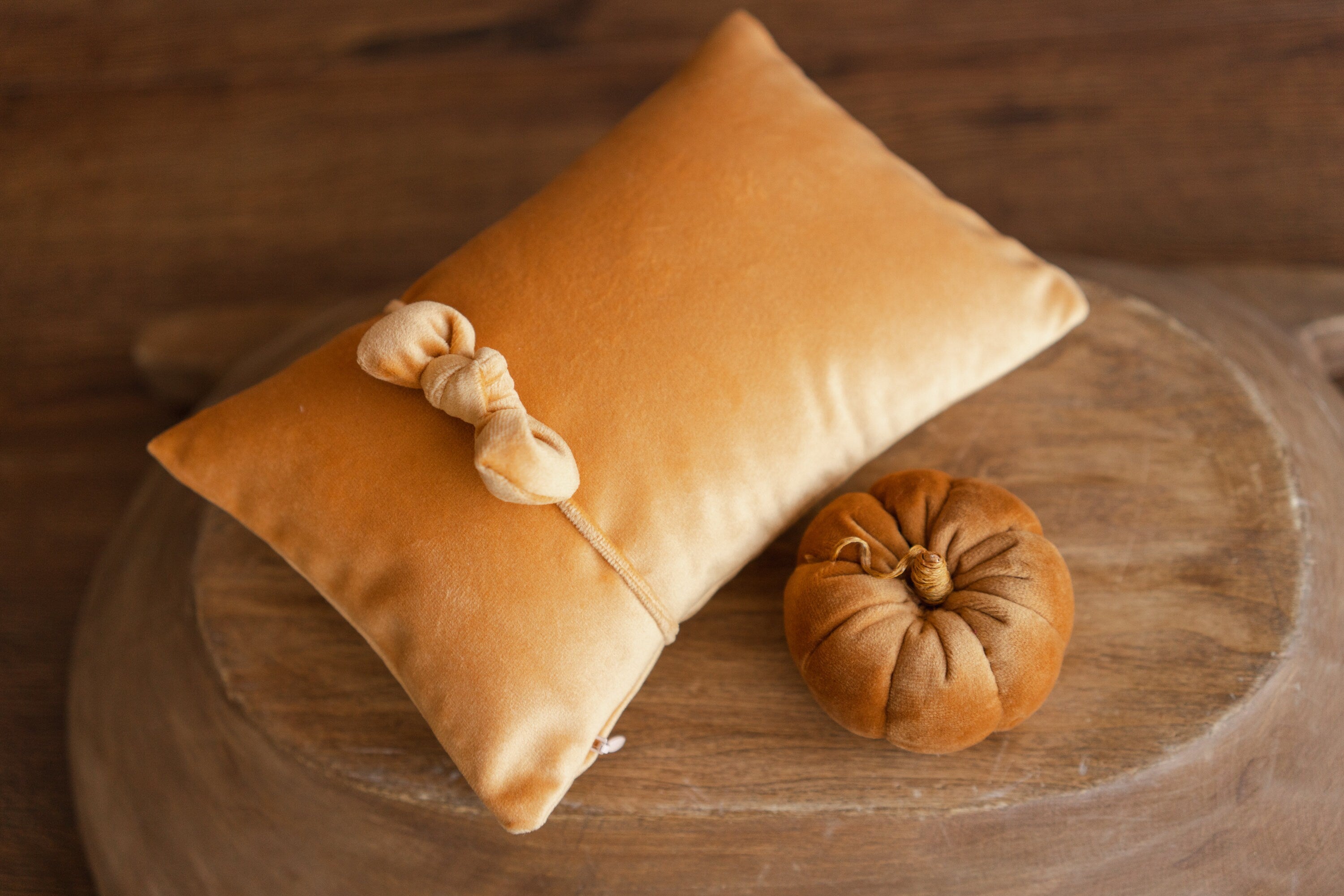 Newborn Velvet Pumpkin Set,Newborn Posing Pillow Prop,Newborn Pumpkin Decor,Newborn Photography Props Set,Velvet Pumpkin Fall Decor Autumn