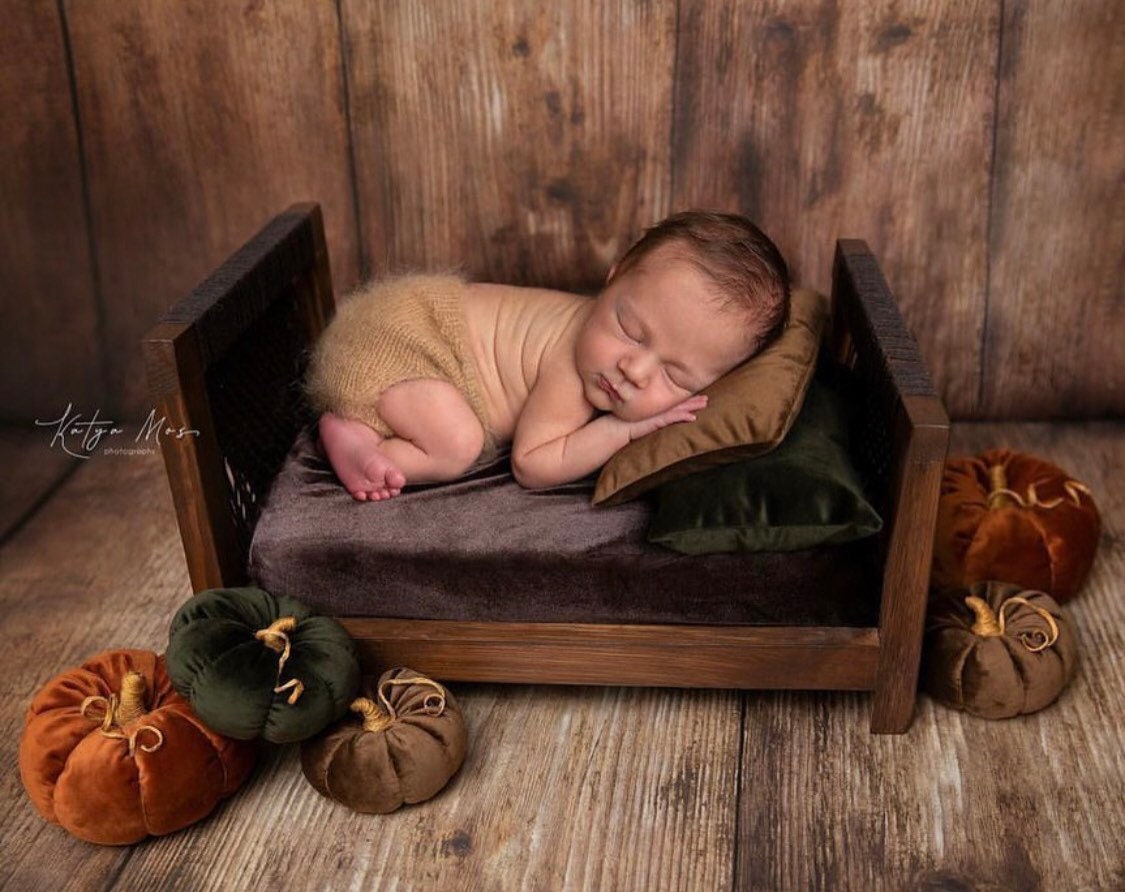 Newborn Velvet Pumpkin Set,Newborn Posing Pillow Prop,Newborn Pumpkin Decor,Newborn Photography Props Set,Velvet Pumpkin Fall Decor Autumn