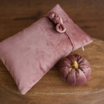 Newborn Velvet Pumpkin Set,Newborn Posing Pillow Prop,Newborn Pumpkin Decor,Newborn Photography Props Set,Velvet Pumpkin Fall Decor Autumn