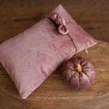 Newborn Velvet Pumpkin Set,Newborn Posing Pillow Prop,Newborn Pumpkin Decor,Newborn Photography Props Set,Velvet Pumpkin Fall Decor Autumn