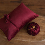 Newborn Velvet Pumpkin Set,Newborn Posing Pillow Prop,Newborn Pumpkin Decor,Newborn Photography Props Set,Velvet Pumpkin Fall Decor Autumn