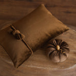 Newborn Velvet Pumpkin Set,Newborn Posing Pillow Prop,Newborn Pumpkin Decor,Newborn Photography Props Set,Velvet Pumpkin Fall Decor Autumn