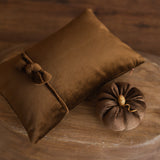 Newborn Velvet Pumpkin Set,Newborn Posing Pillow Prop,Newborn Pumpkin Decor,Newborn Photography Props Set,Velvet Pumpkin Fall Decor Autumn