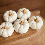 Newborn Velvet Pumpkins Toys, Newborn Pumpkin Decor, Newborn Photography Props Set, Newborn Photo Props, Velvet Pumpkins Fall Decor Autumn