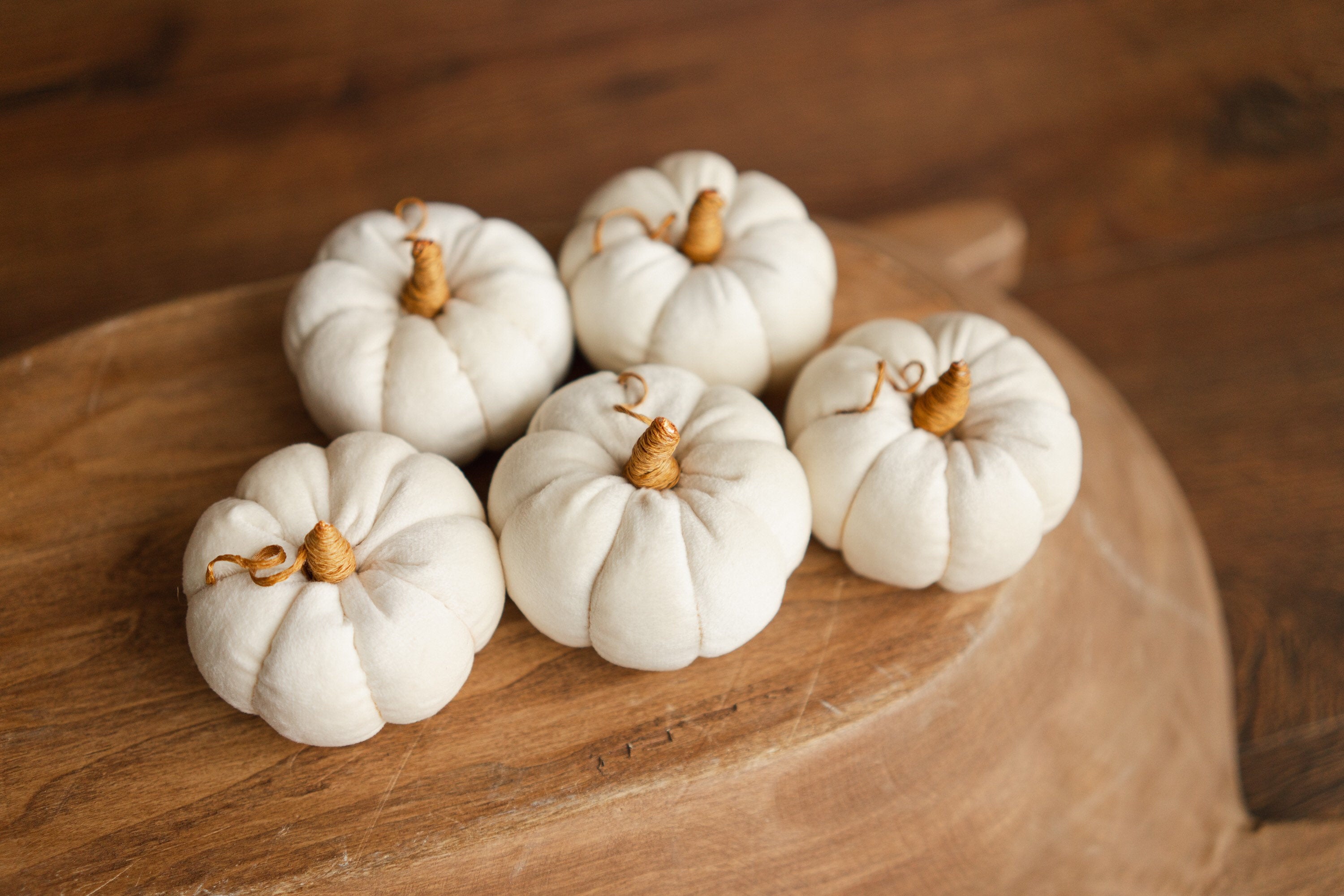 Newborn Velvet Pumpkins Toys, Newborn Pumpkin Decor, Newborn Photography Props Set, Newborn Photo Props, Velvet Pumpkins Fall Decor Autumn