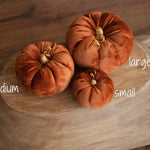 Newborn Velvet Pumpkins Toys, Newborn Pumpkin Decor, Newborn Photography Props Set, Newborn Photo Props, Velvet Pumpkins Fall Decor Autumn