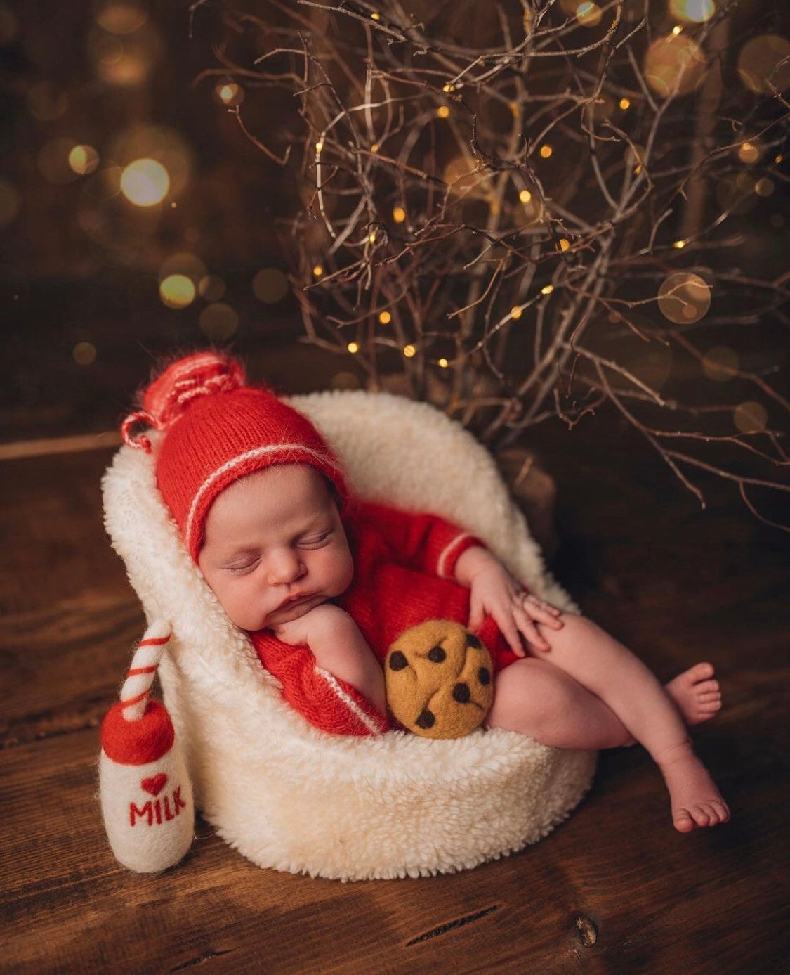 Newborn Felt Milk and Cookies Photo Props, Xmas Felted Milk with Sweeties, Newborn Felted Toys, Newborn Photography Props,Cookies Milk Props