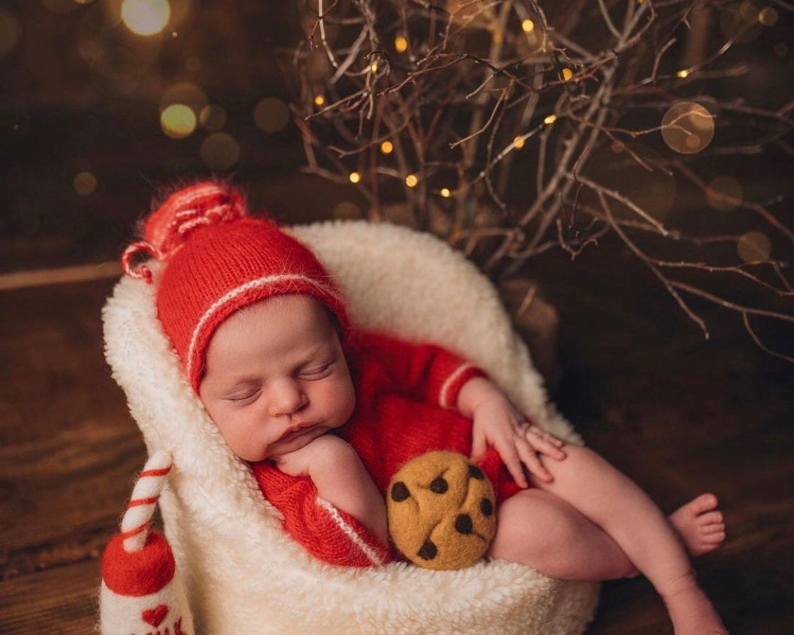 Newborn Felt Milk and Cookies Photo Props, Xmas Felted Milk with Sweeties, Newborn Felted Toys, Newborn Photography Props,Cookies Milk Props