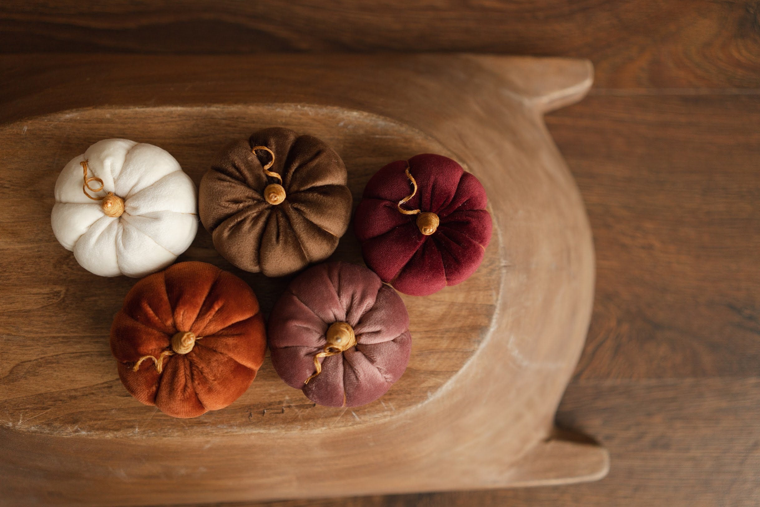 Newborn Velvet Pumpkins Toys, Newborn Pumpkin Decor, Newborn Photography Props Set, Newborn Photo Props, Velvet Pumpkins Fall Decor Autumn