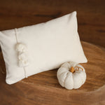 Newborn Velvet Pumpkin Set,Newborn Posing Pillow Prop,Newborn Pumpkin Decor,Newborn Photography Props Set,Velvet Pumpkin Fall Decor Autumn