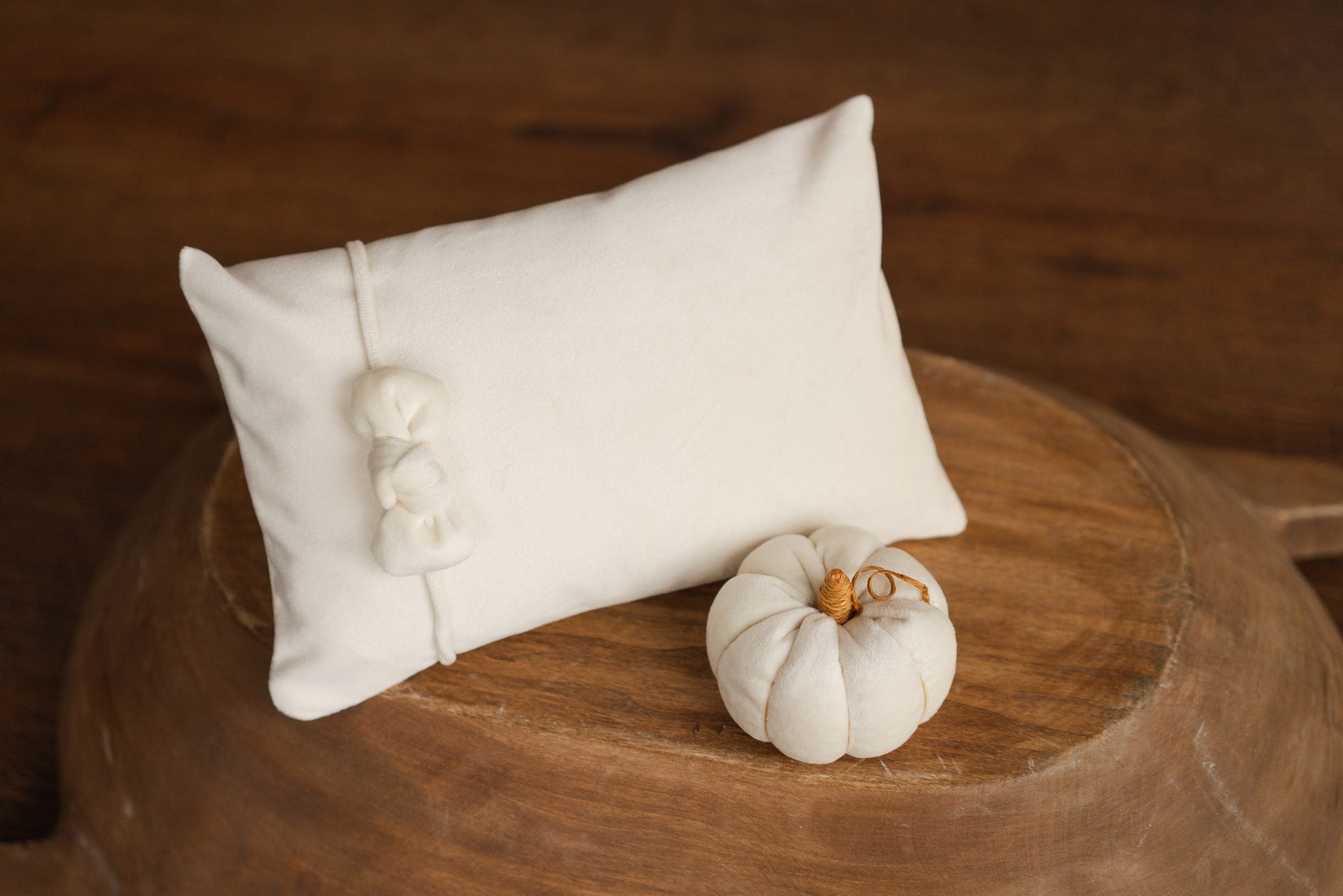 Newborn Velvet Pumpkin Set,Newborn Posing Pillow Prop,Newborn Pumpkin Decor,Newborn Photography Props Set,Velvet Pumpkin Fall Decor Autumn