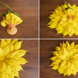 Baby Flower Felt Hat, Flower Newborn Merino Wool Felted Rug Set with Felted Hat for Girl, Newborn Photography props,Newborn Felted Props Set