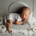 Newborn Velvet Pumpkins Toys, Newborn Pumpkin Decor, Newborn Photography Props Set, Newborn Photo Props, Velvet Pumpkins Fall Decor Autumn