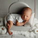 Newborn Velvet Pumpkins Toys, Newborn Pumpkin Decor, Newborn Photography Props Set, Newborn Photo Props, Velvet Pumpkins Fall Decor Autumn