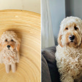 Small Felted Dog Toy for Photography, Custom Pet Figure, Felted Animals Toy,Felt Stuffed Dog, Puppy First Birthday,Newborn photography props