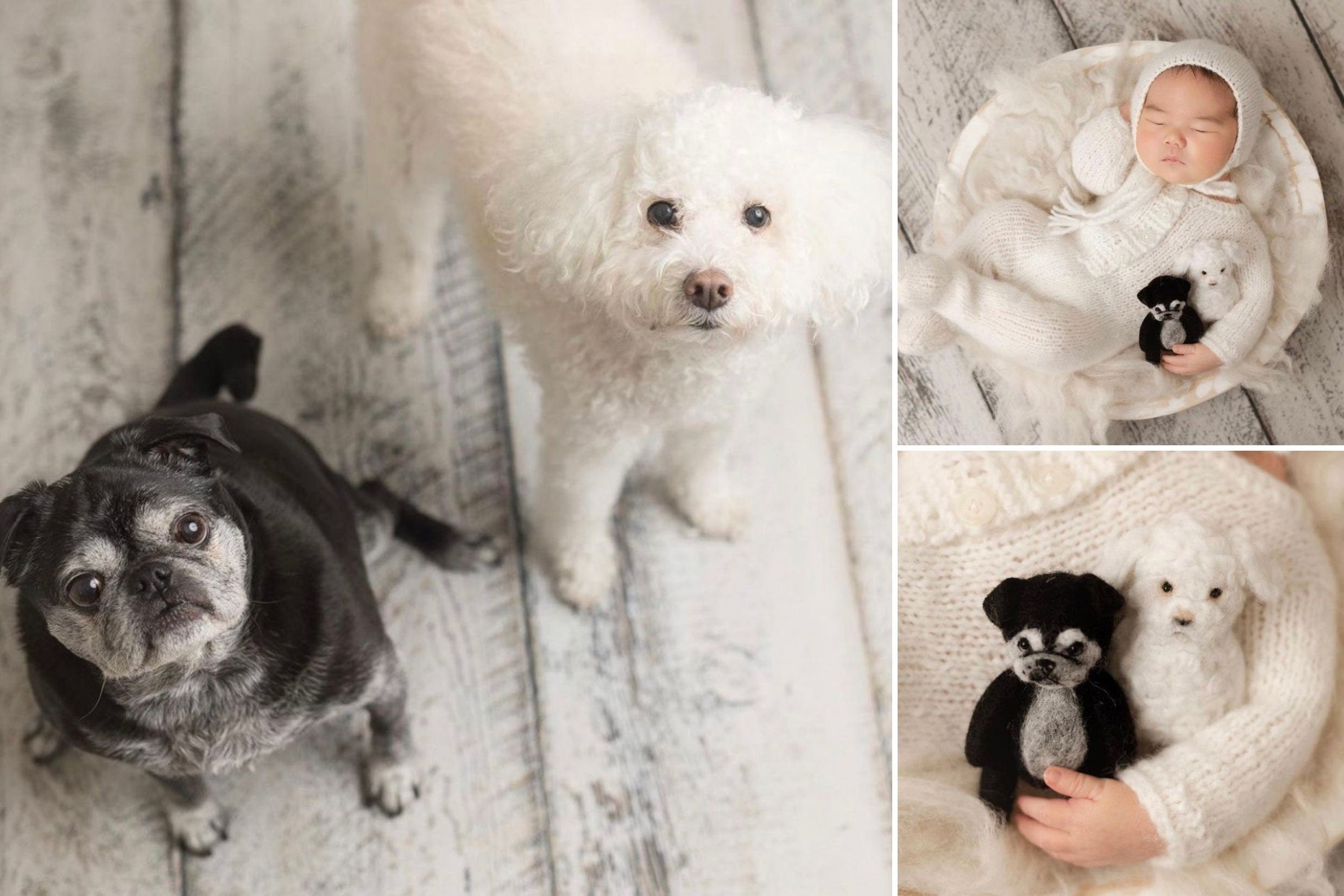 Small Felted Dog Toy for Photography, Custom Pet Figure, Felted Animals Toy,Felt Stuffed Dog, Puppy First Birthday,Newborn photography props