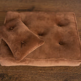 Newborn Velvet Posing Bed and Pillow, Newborn Floor Poser Pillow, Newborn Bedding Prop, Newborn Photography Props Bed, Newborn Posing Pillow