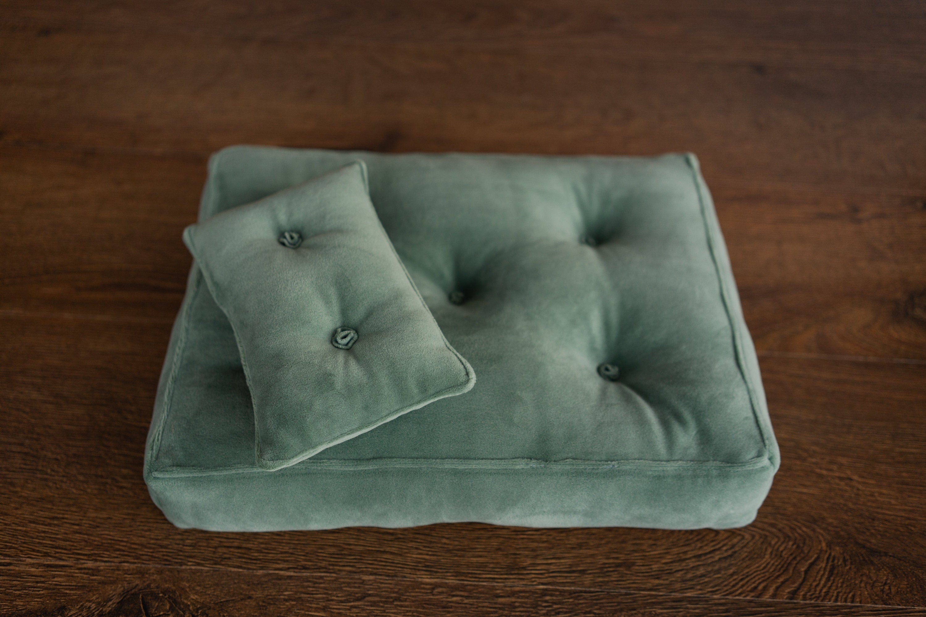 Newborn Velvet Posing Bed and Pillow, Newborn Floor Poser Pillow, Newborn Bedding Prop, Newborn Photography Props Bed, Newborn Posing Pillow