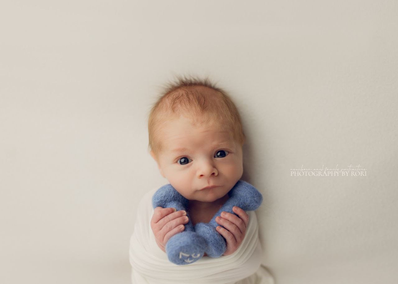 Felt Newborn Sports Props: Baby Dumbbell, Kettlebell and Barbell Toys for Newborn Photo Props