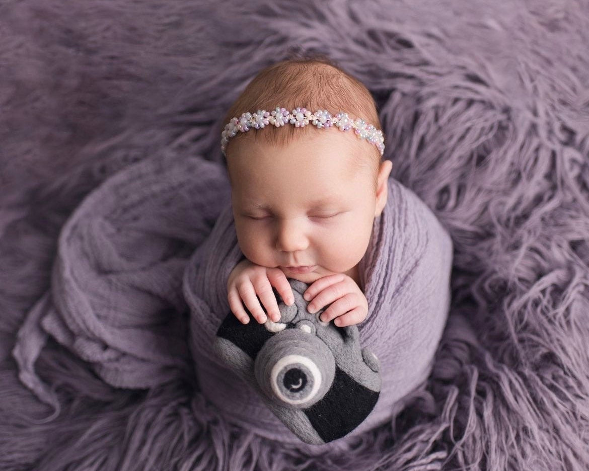 Hand-Felted Newborn Music Props Toy, Newborn Felted Microphone Toy,Needle Felted Camera Toy,Newborn Photography Props,Newborn Photo Camera
