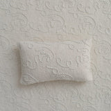 Removable Newborn Moon Pillow with Beanbag Backdrop, Newborn Posing Pillow, Newborn Posing Fabric Backdrop, Newborn Props for Photography