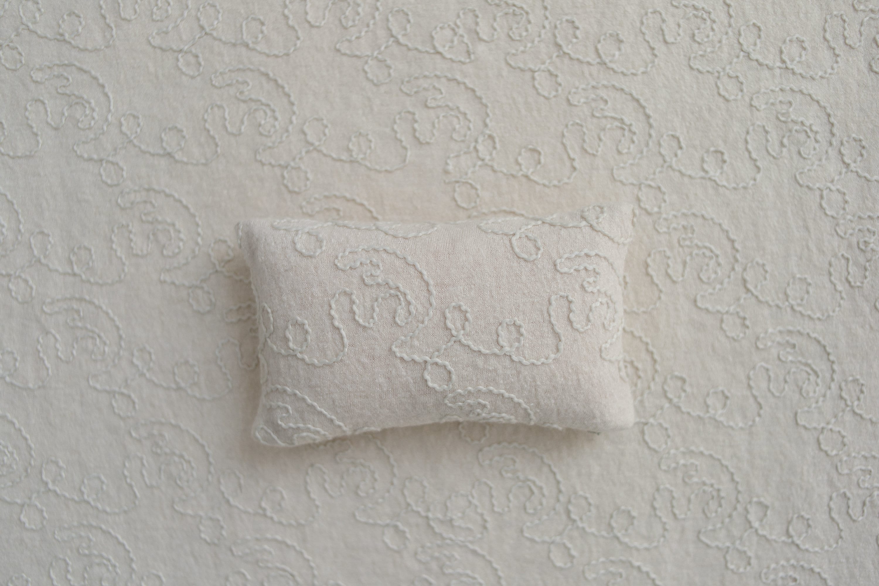 Removable Newborn Moon Pillow with Beanbag Backdrop, Newborn Posing Pillow, Newborn Posing Fabric Backdrop, Newborn Props for Photography