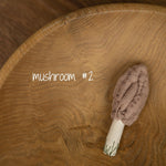 Newborn Fall Decor Autumn Photo Props, Newborn Pumpkin Decor, Newborn Mushroom Photo Prop, Newborn Photography Props Set, Carrot Fabric Toy