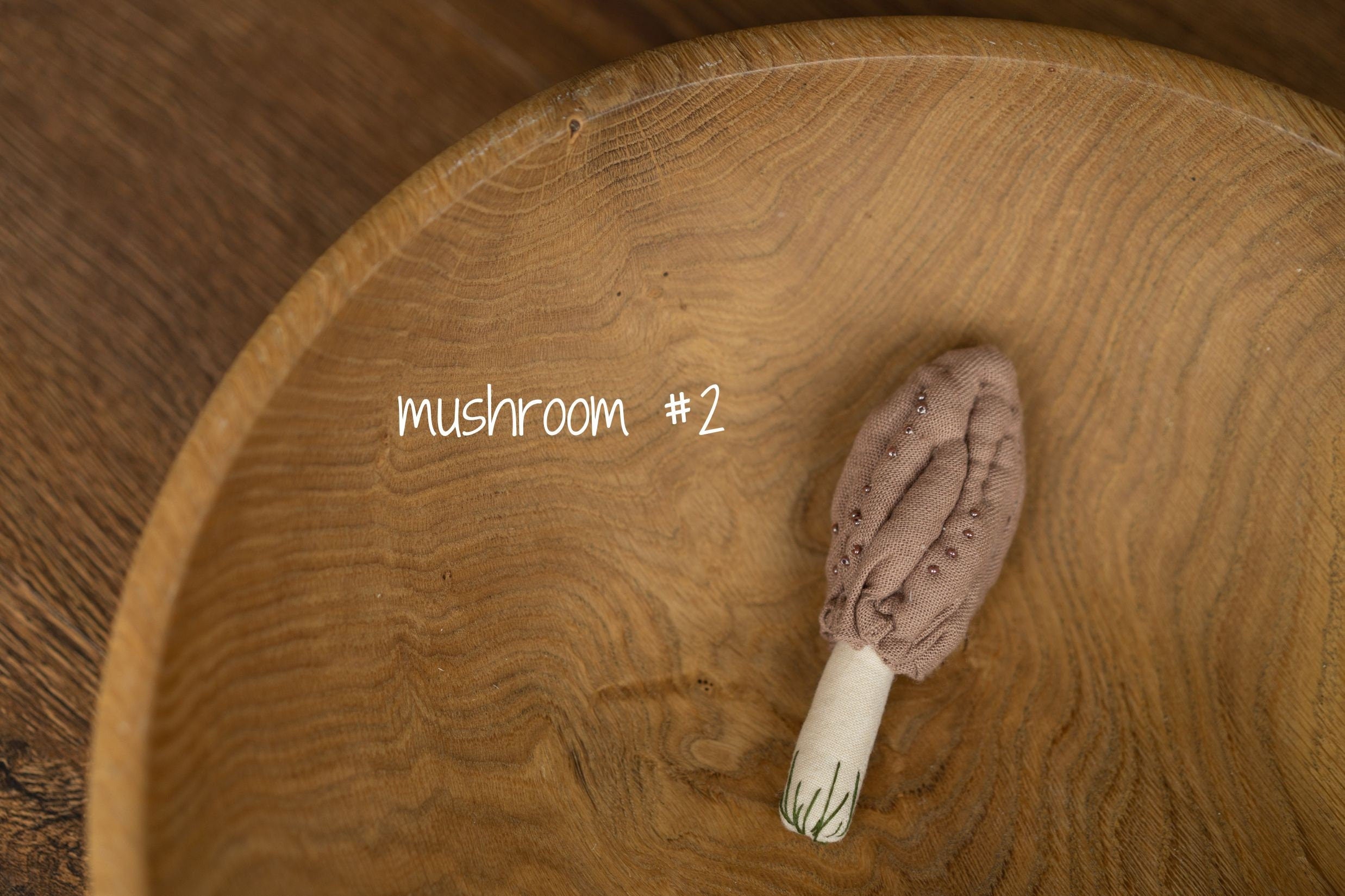 Newborn Fall Decor Autumn Photo Props, Newborn Pumpkin Decor, Newborn Mushroom Photo Prop, Newborn Photography Props Set, Carrot Fabric Toy