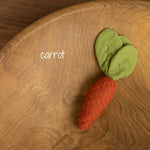 Newborn Fall Decor Autumn Photo Props, Newborn Pumpkin Decor, Newborn Mushroom Photo Prop, Newborn Photography Props Set, Carrot Fabric Toy