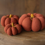 Pumpkin Thanksgiving Gift, Photography Pumpkins Fall Decor Autumn, Newborn Photography Prop, Newborn Fall Photo Props set Halloween Decor