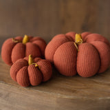 Pumpkin Thanksgiving Gift, Photography Pumpkins Fall Decor Autumn, Newborn Photography Prop, Newborn Fall Photo Props set Halloween Decor