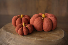 Pumpkin Thanksgiving Gift, Photography Pumpkins Fall Decor Autumn, Newborn Photography Prop, Newborn Fall Photo Props set Halloween Decor