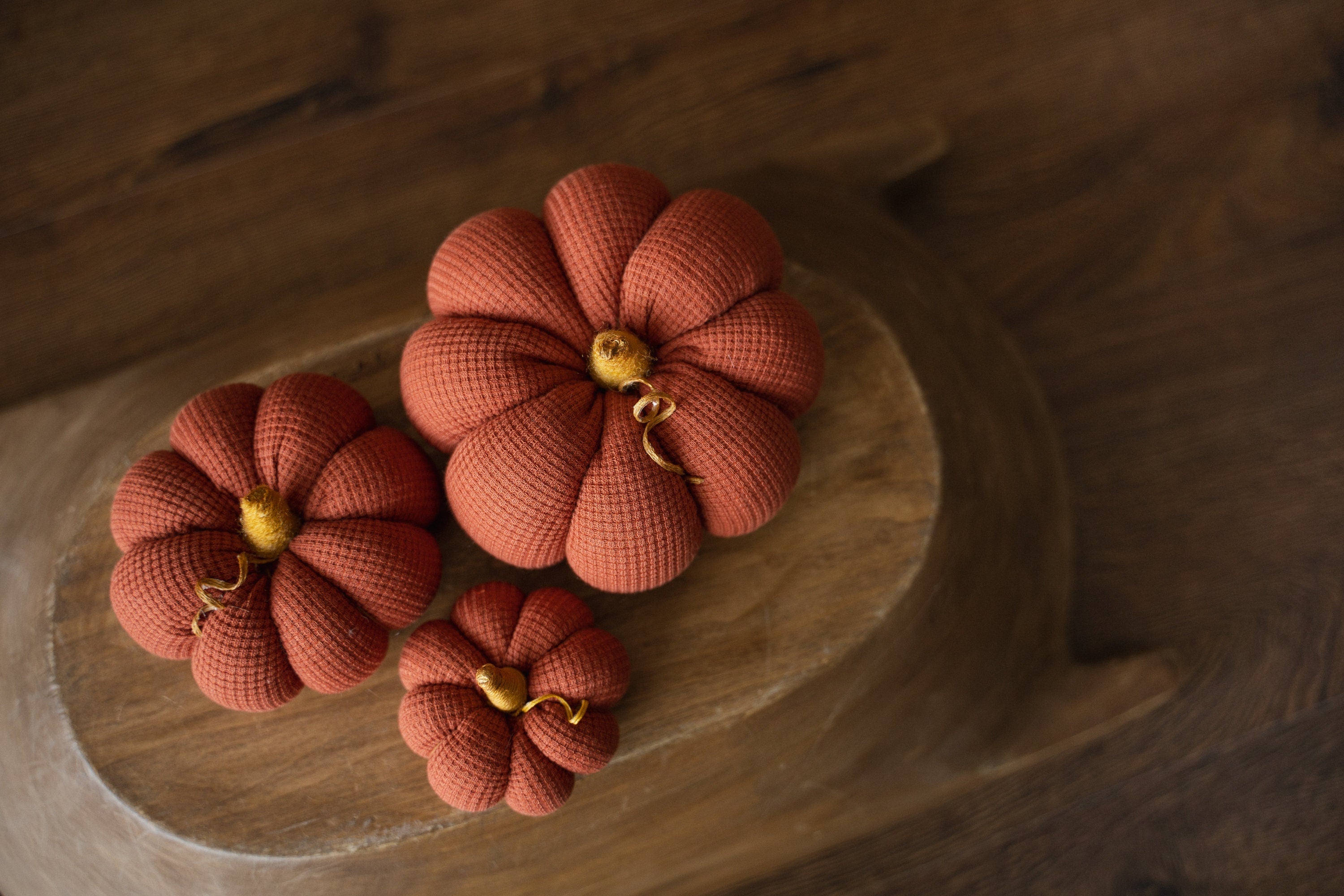 Pumpkin Thanksgiving Gift, Photography Pumpkins Fall Decor Autumn, Newborn Photography Prop, Newborn Fall Photo Props set Halloween Decor