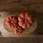 Pumpkin Thanksgiving Gift, Photography Pumpkins Fall Decor Autumn, Newborn Photography Prop, Newborn Fall Photo Props set Halloween Decor