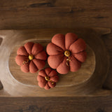 Pumpkin Thanksgiving Gift, Photography Pumpkins Fall Decor Autumn, Newborn Photography Prop, Newborn Fall Photo Props set Halloween Decor