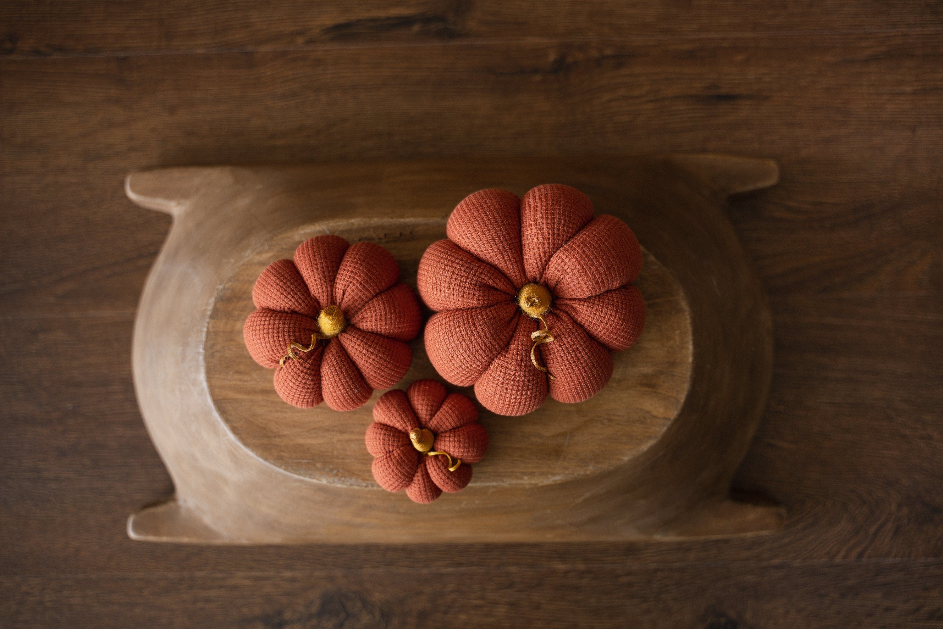 Pumpkin Thanksgiving Gift, Photography Pumpkins Fall Decor Autumn, Newborn Photography Prop, Newborn Fall Photo Props set Halloween Decor