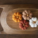 Pumpkin Thanksgiving Gift, Photography Pumpkins Fall Decor Autumn, Newborn Photography Prop, Newborn Fall Photo Props set Halloween Decor