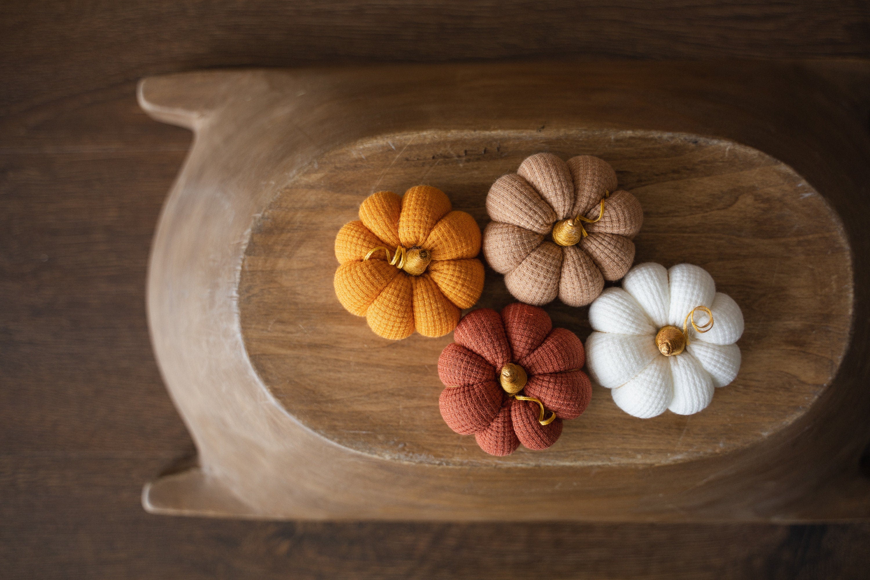 Pumpkin Thanksgiving Gift, Photography Pumpkins Fall Decor Autumn, Newborn Photography Prop, Newborn Fall Photo Props set Halloween Decor