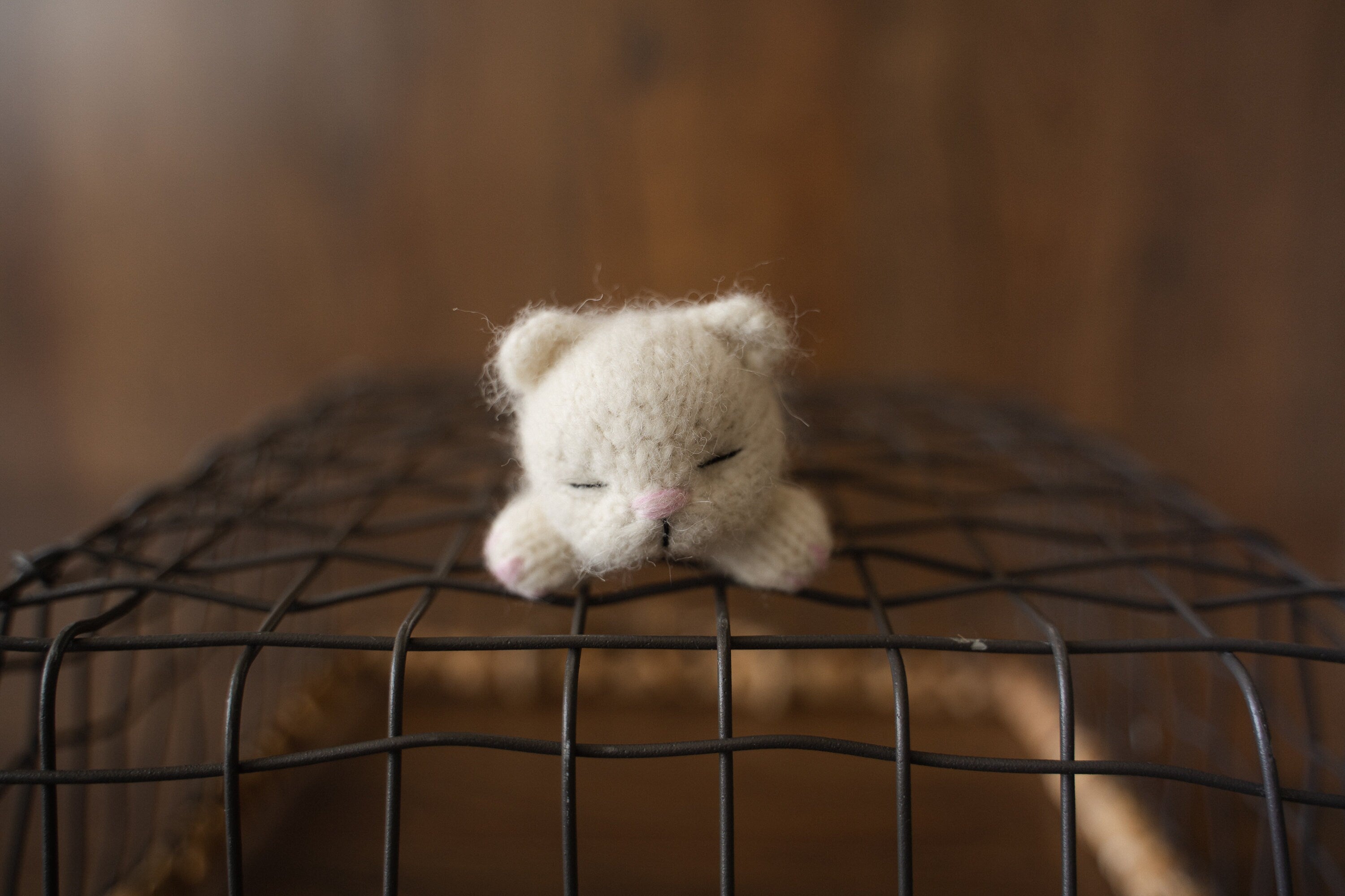 Newborn Knitted Animals Photography Props, Newborn Knit Teddy Bear, Newborn Knit Bunny Toy, Newborn Knit Kitten Toy, Baby Photography Props