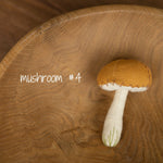 Newborn Fall Decor Autumn Photo Props, Newborn Pumpkin Decor, Newborn Mushroom Photo Prop, Newborn Photography Props Set, Carrot Fabric Toy