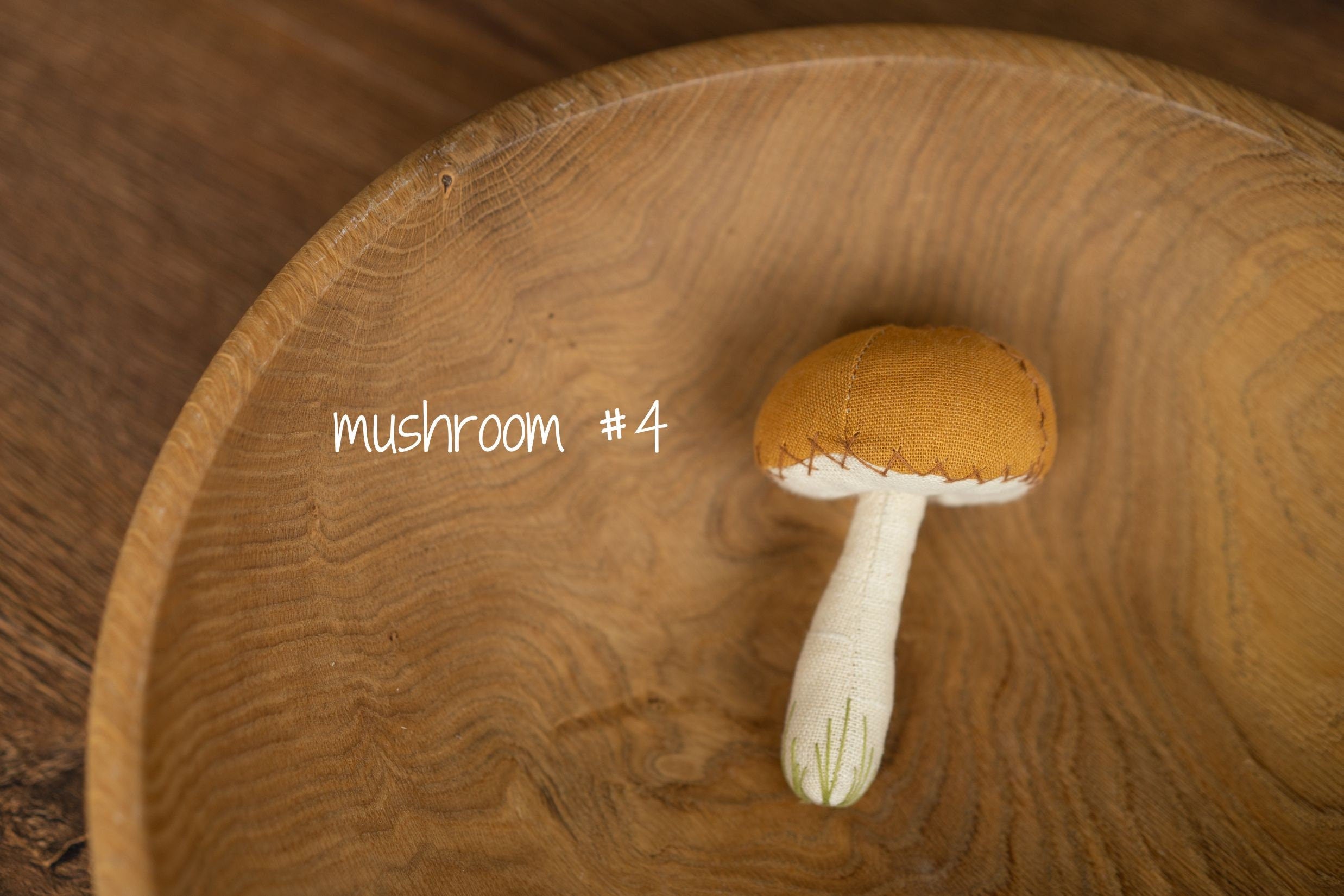 Newborn Fall Decor Autumn Photo Props, Newborn Pumpkin Decor, Newborn Mushroom Photo Prop, Newborn Photography Props Set, Carrot Fabric Toy