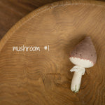 Newborn Fall Decor Autumn Photo Props, Newborn Pumpkin Decor, Newborn Mushroom Photo Prop, Newborn Photography Props Set, Carrot Fabric Toy